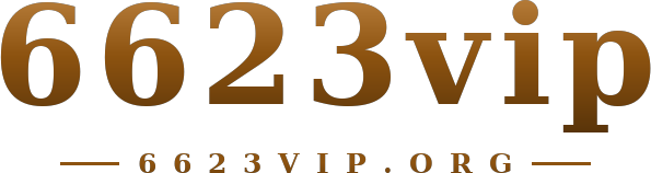 6623vip logo